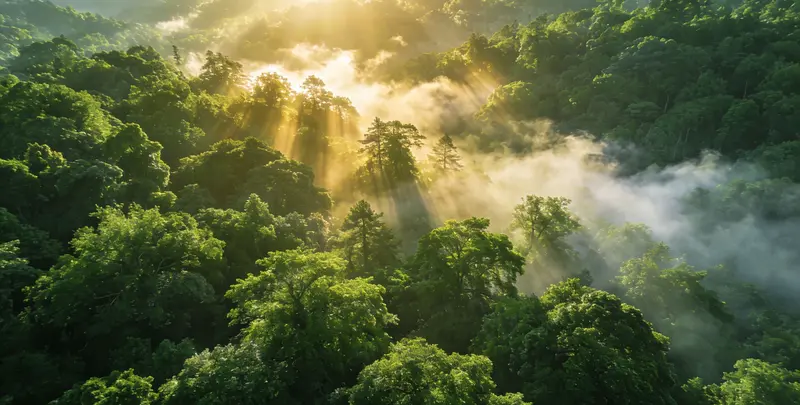 长治肺癌（EGFR T790M)突变检测图片1