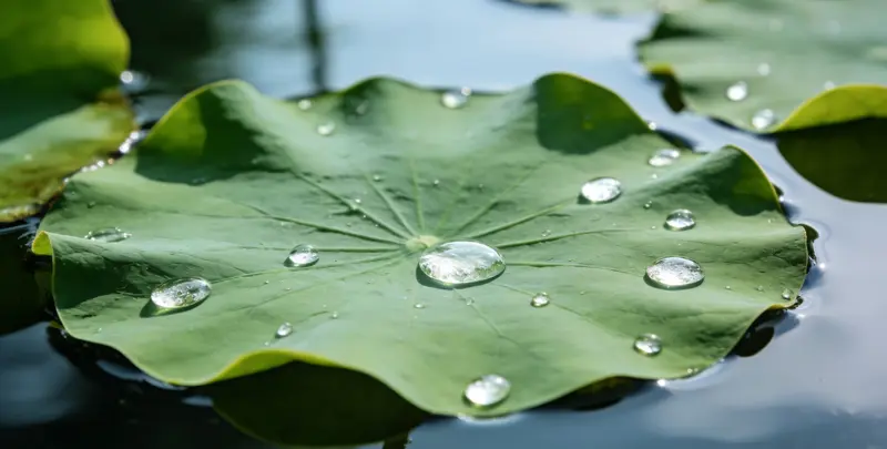 长治乳腺癌21基因mRNA表达分析图片1