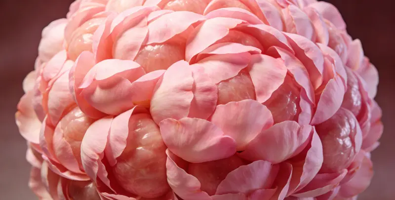 长治BRCA1/2乳腺癌卵巢癌基因检测图片1